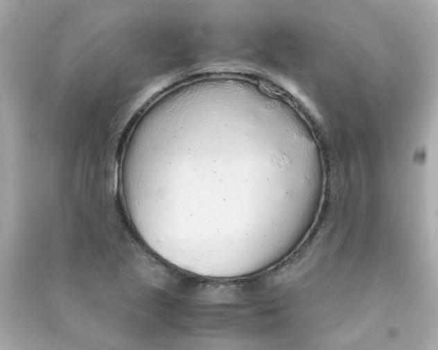 X0000090471221200708102126