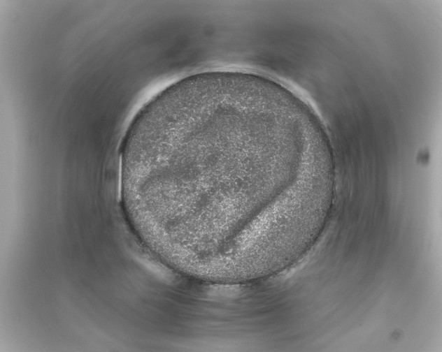 X0000090471223200708102126