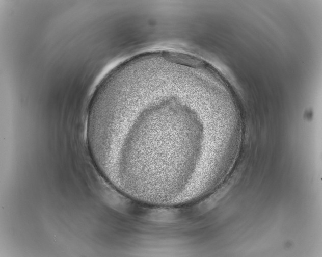 X0000090471224200708102126