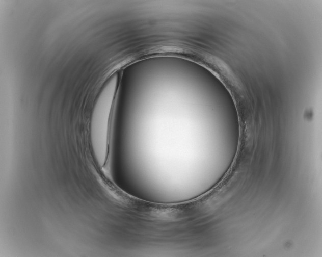 X0000090471225200708102126