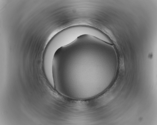 X0000090471226200708102126