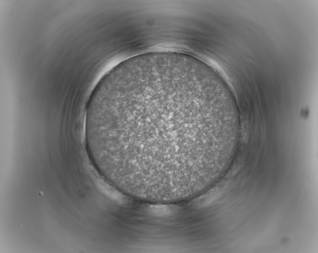 X0000090471227200708102126