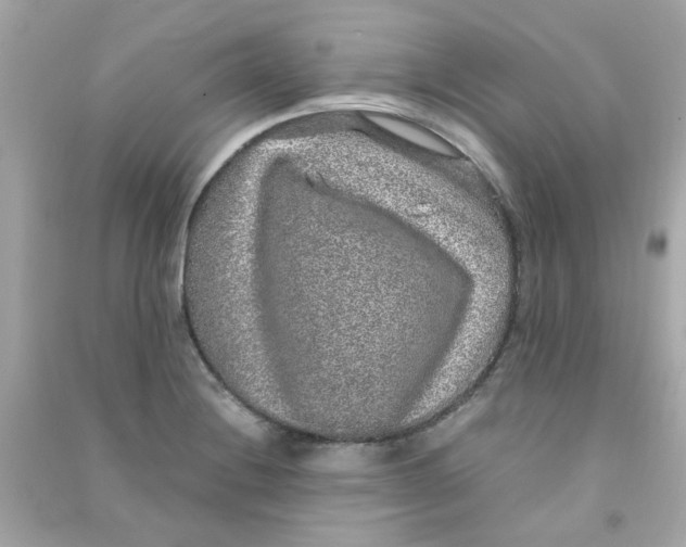 X0000090471228200708102126