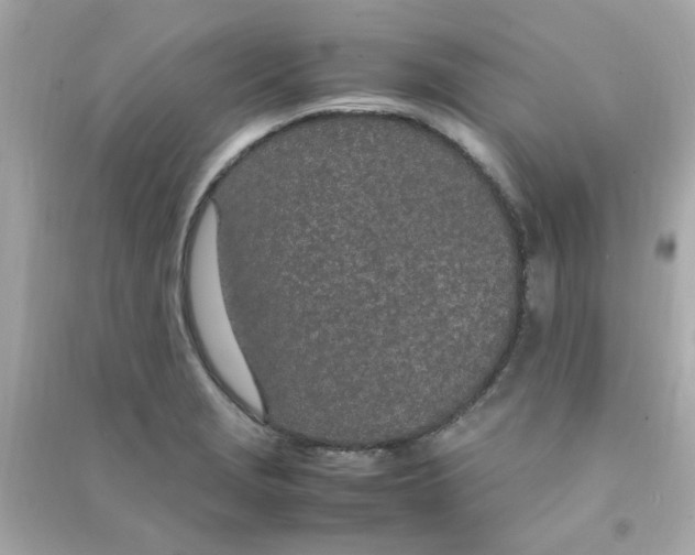 X0000090471229200708102126