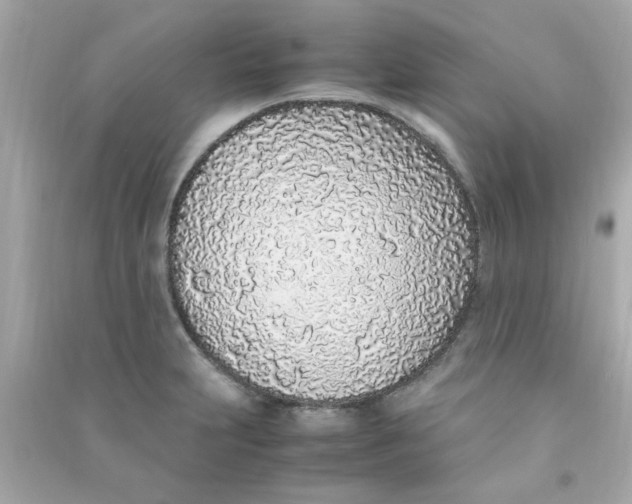 X0000090471231200708102126