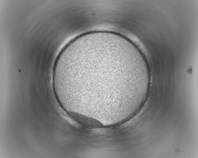 X0000090471232200708102126