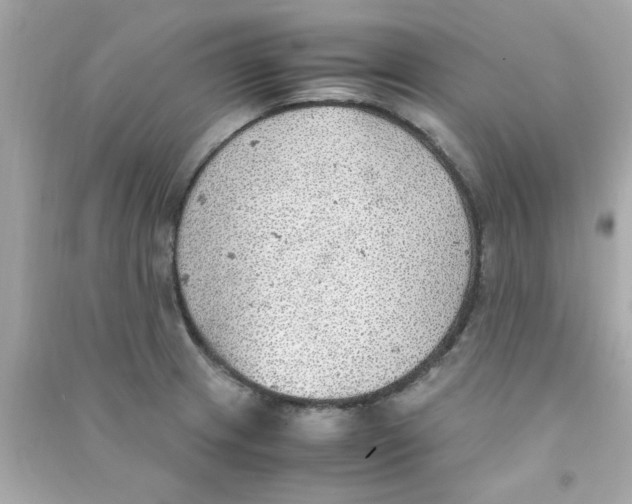 X0000090471233200708102126