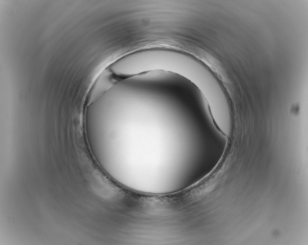 X0000090471234200708102126