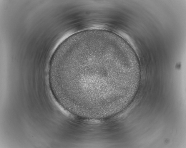 X0000090471235200708102126