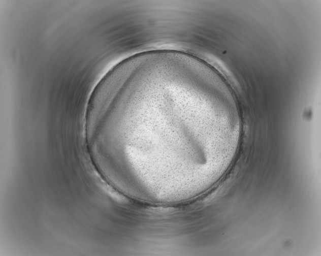 X0000090471236200708102126