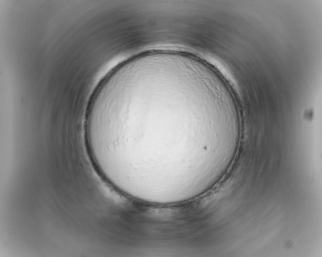 X0000090471237200708102126