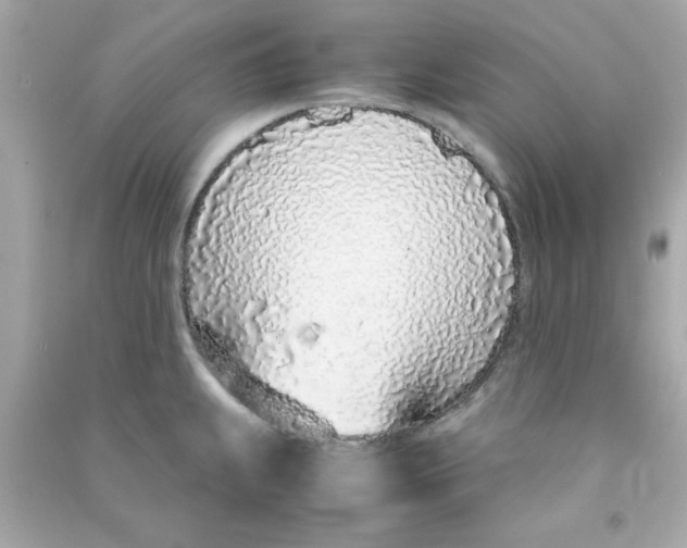 X0000090471239200708102126