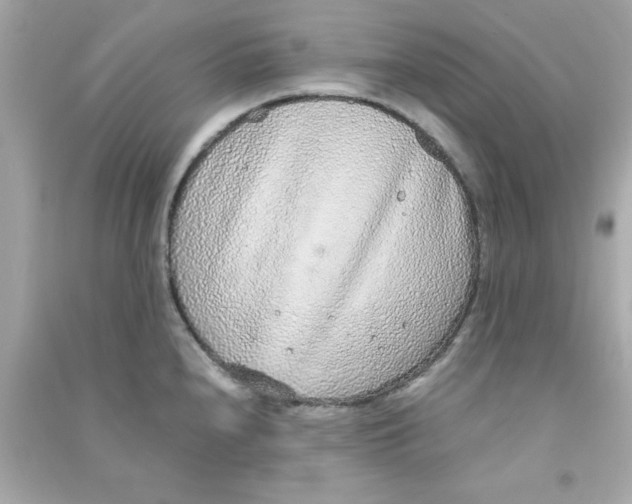 X0000090471240200708102126