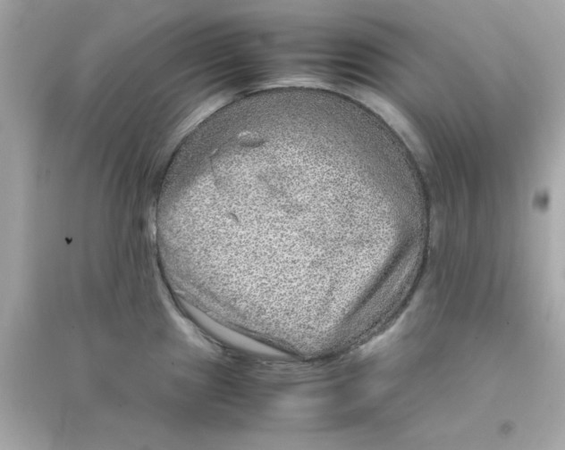 X0000090471241200708102126