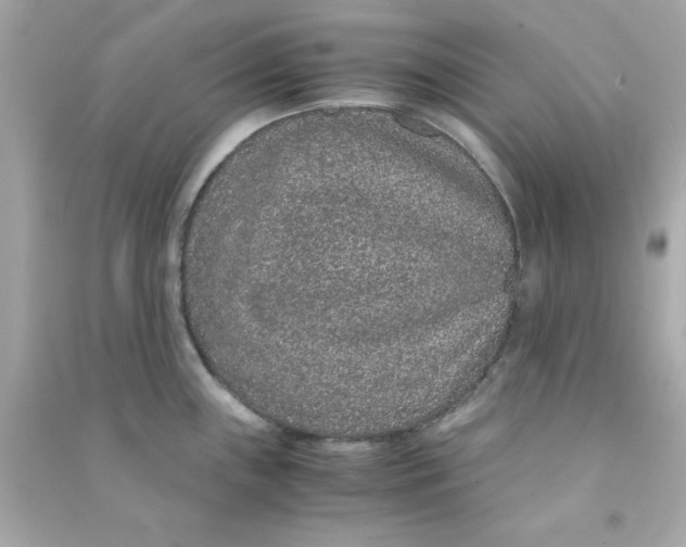 X0000090471243200708102126