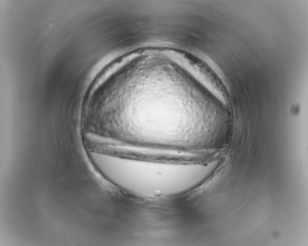 X0000090471245200708102126