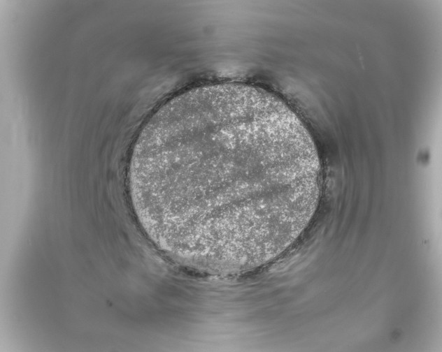 X0000090471249200708102126