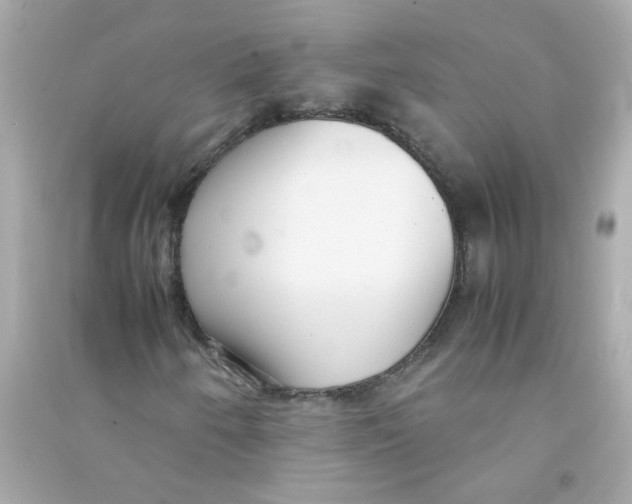 X0000090471250200708102126