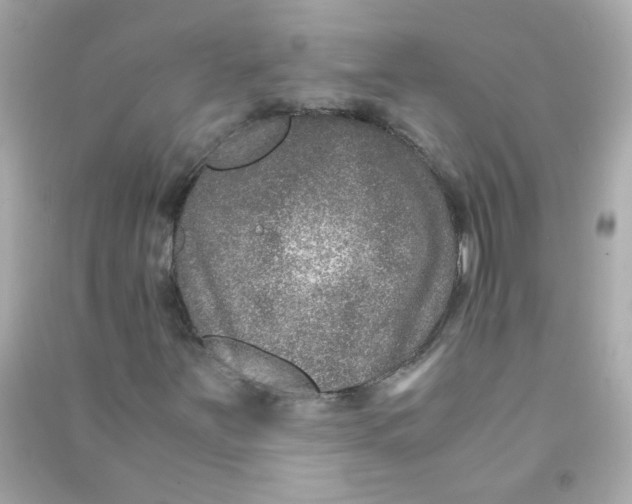 X0000090471251200708102126