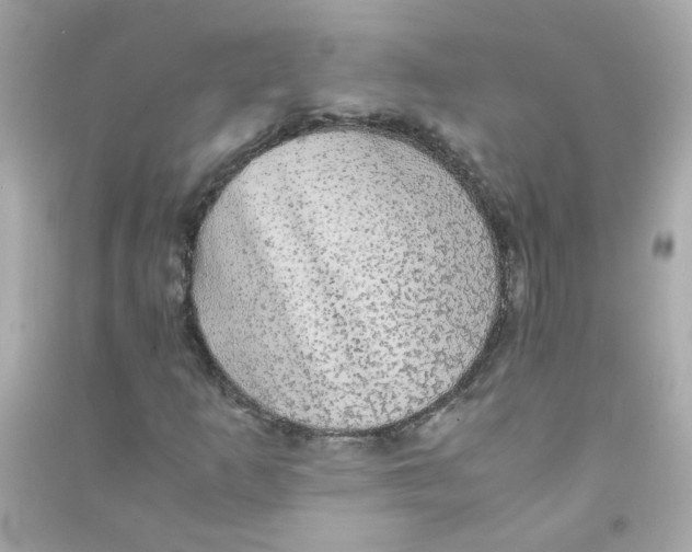 X0000090471253200708102126