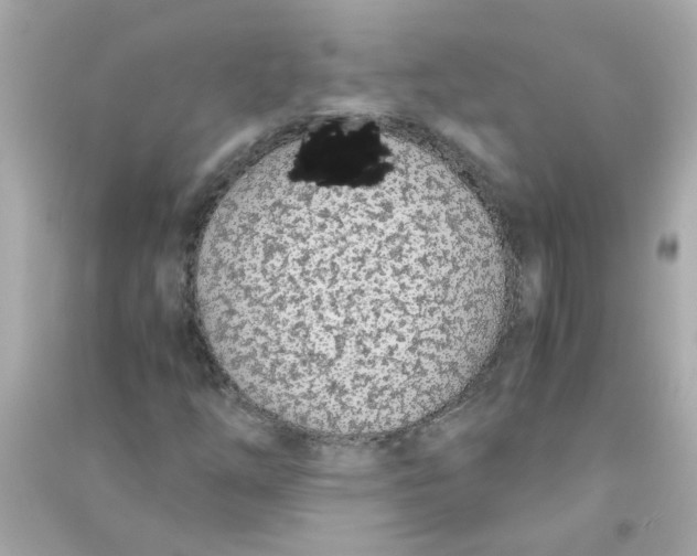 X0000090471254200708102126