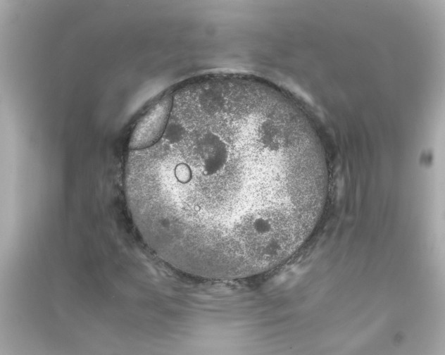 X0000090471255200708102126