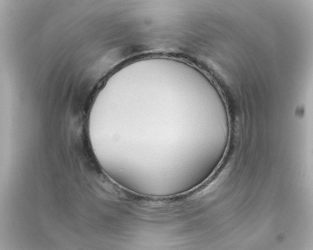 X0000090471257200708102126