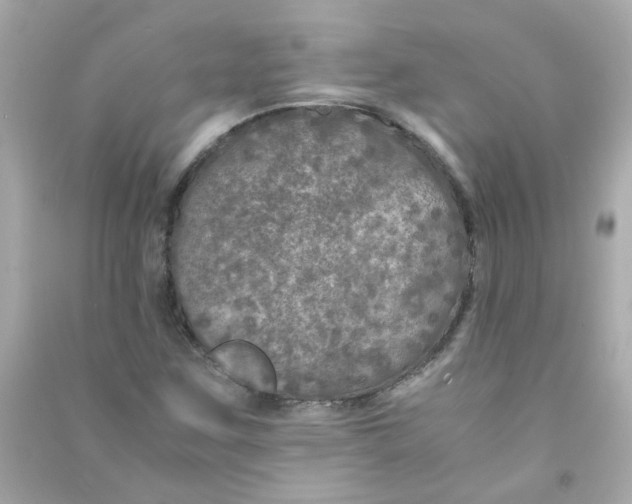 X0000090471259200708102126