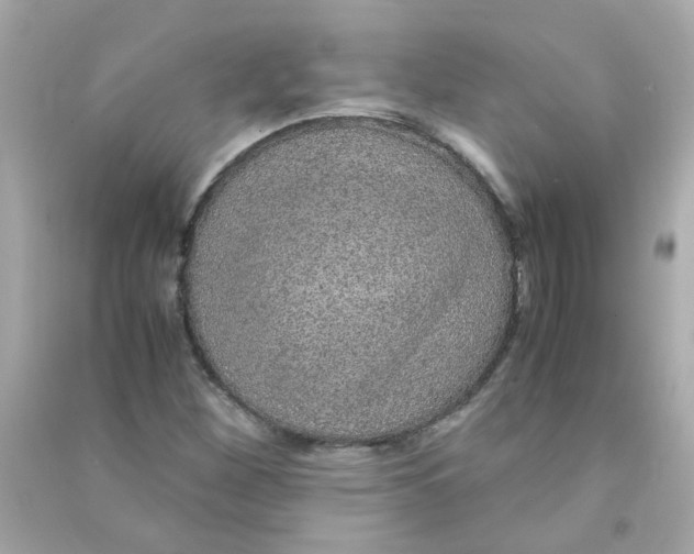 X0000090471260200708102126