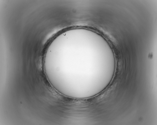 X0000090471262200708102126