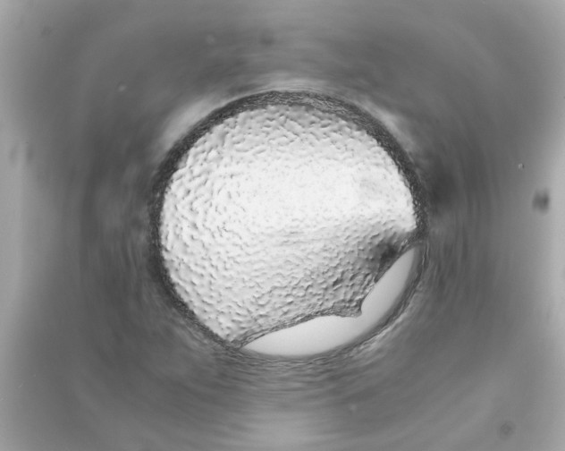 X0000090471263200708102126