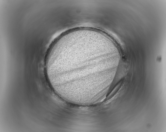 X0000090471264200708102126