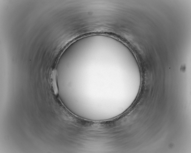 X0000090471265200708102126