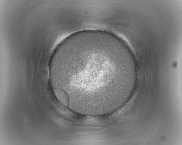 X0000090471267200708102126