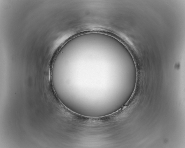 X0000090471269200708102126