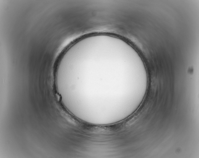 X0000090471270200708102126