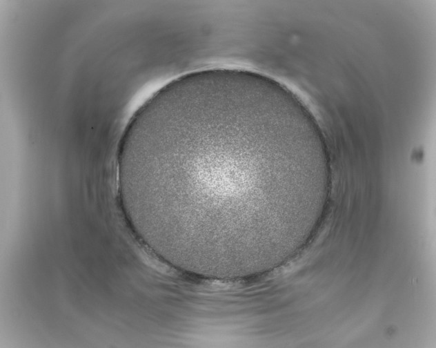 X0000090471271200708102126