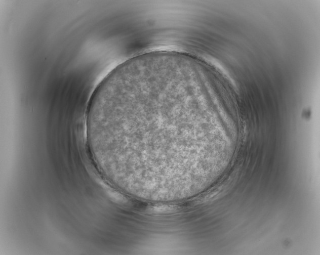 X0000090471274200708102126