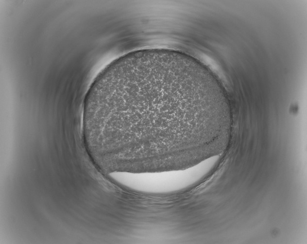 X0000090471275200708102126