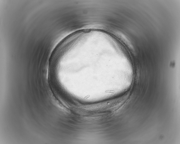 X0000090471276200708102125