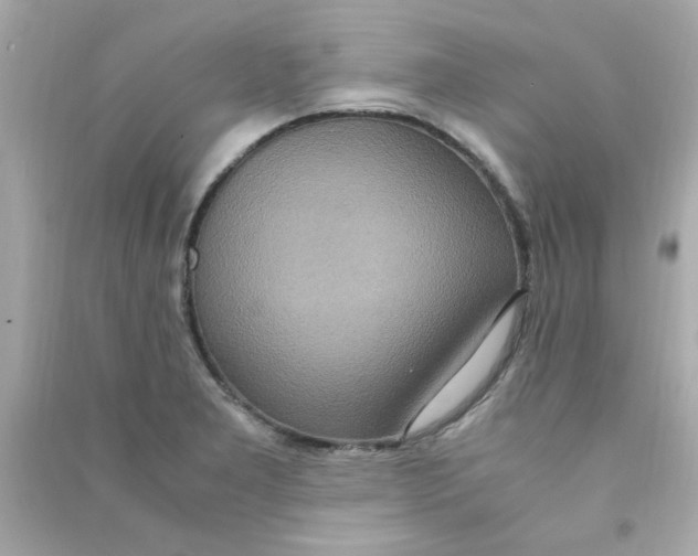 X0000090471277200708102125