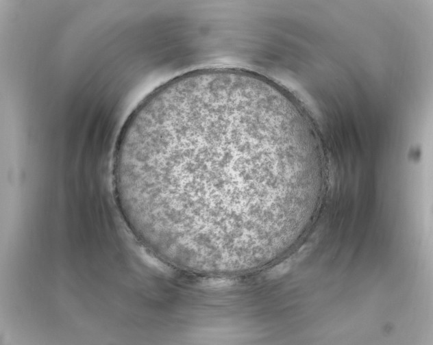 X0000090471278200708102125