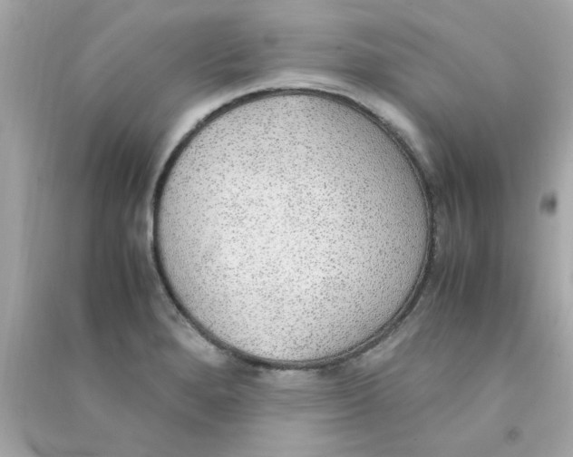 X0000090471280200708102125