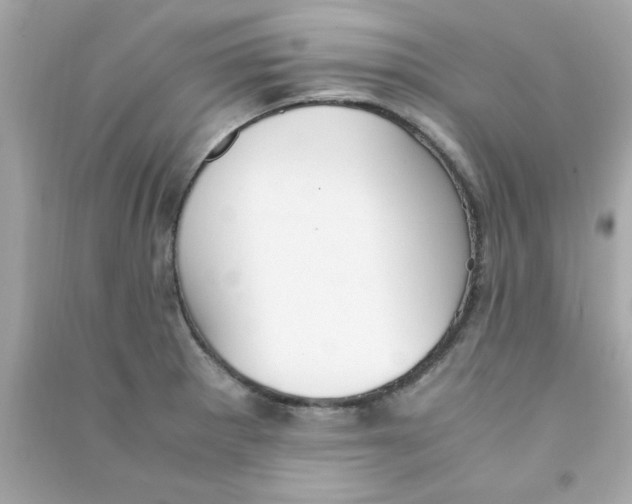 X0000090471281200708102125