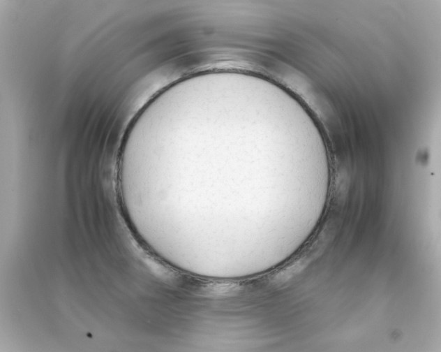 X0000090471282200708102125