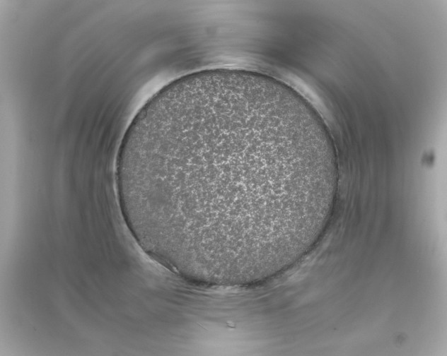 X0000090471283200708102125