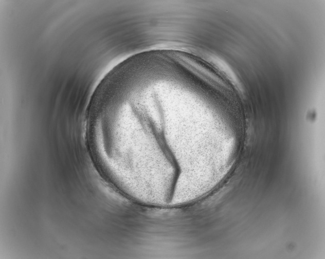 X0000090471284200708102125