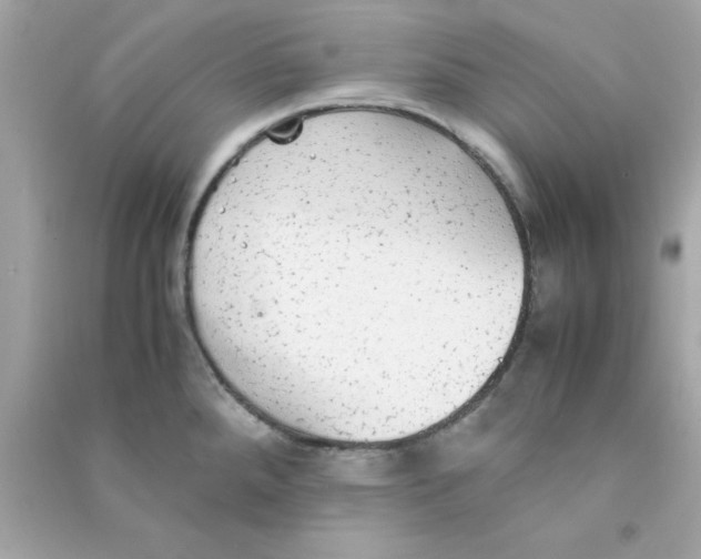 X0000090471288200708102125