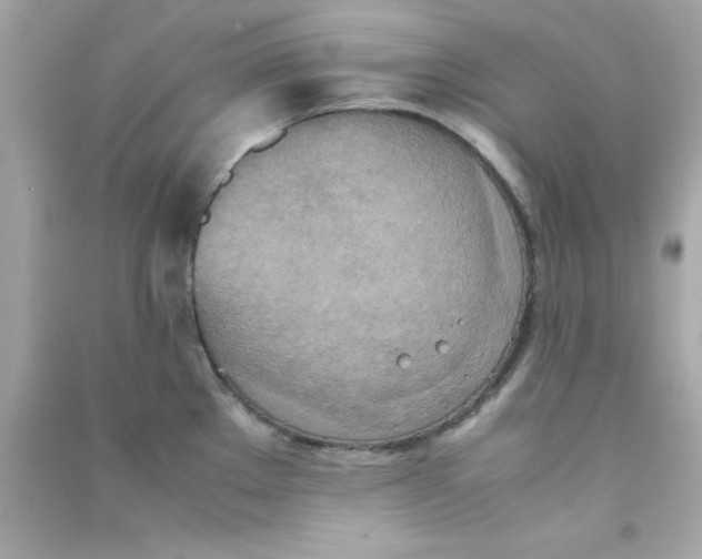 X0000090471289200708102125