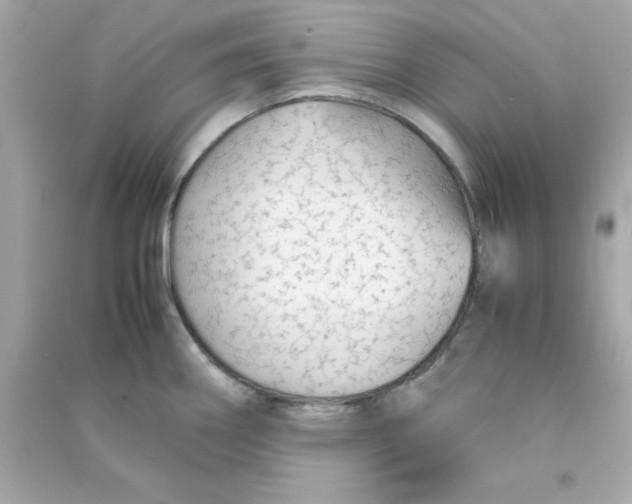 X0000090471290200708102125